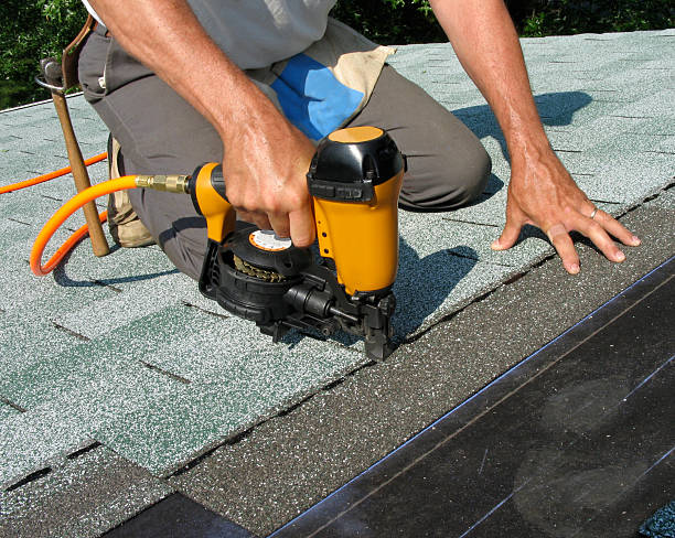 Best Roof Maintenance Services  in Page, AZ