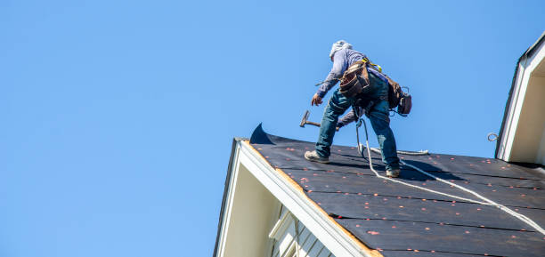 Best Roof Gutter Cleaning  in Page, AZ